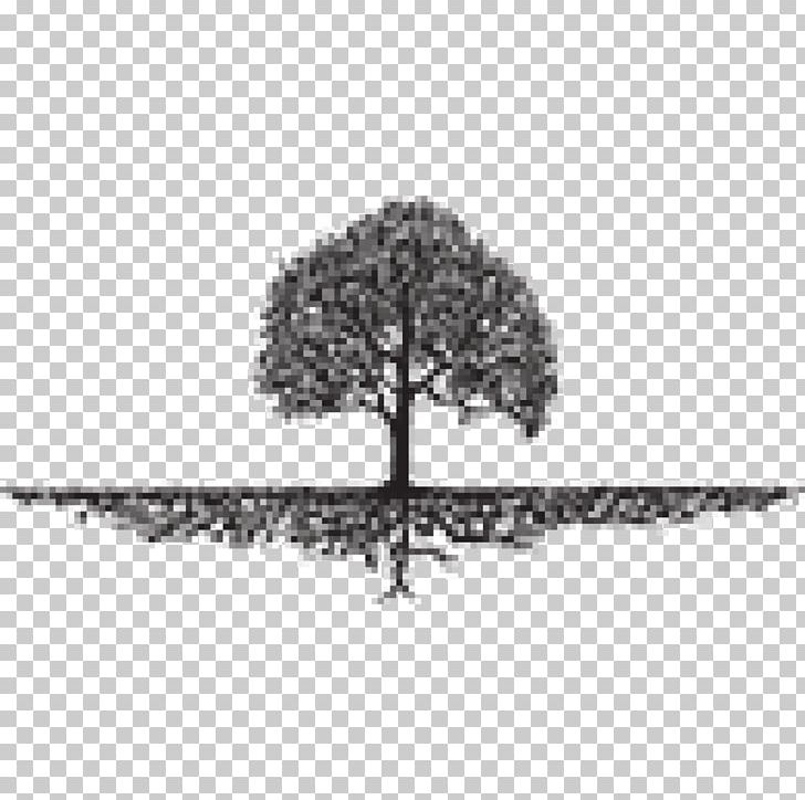 Roots: The Saga Of An American Family Tree Organization Landscaping PNG, Clipart, Ads, Black And White, Branch, Communication, Debit Card Free PNG Download