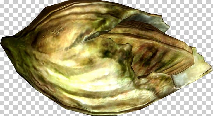 The Elder Scrolls V: Skyrim – Dragonborn Barnacle Ingredient Wiki PNG, Clipart, Alchemy, Animal Source Foods, Barnacle, Clam, Clams Oysters Mussels And Scallops Free PNG Download