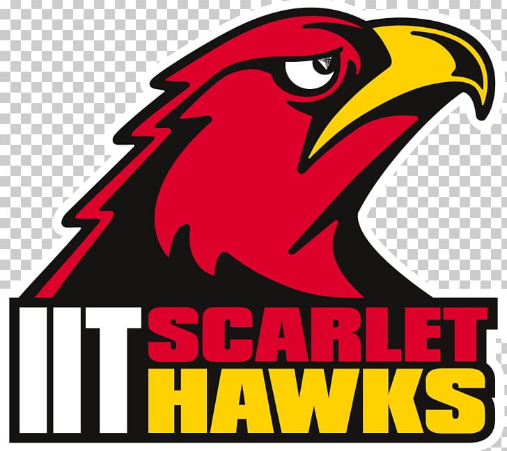 Illinois Institute Of Technology Chicago-Kent College Of Law Milwaukee School Of Engineering Illinois Tech Scarlet Hawks Men's Basketball Student PNG, Clipart, Artwork, Beak, Bird, Brand, Chicagokent College Of Law Free PNG Download