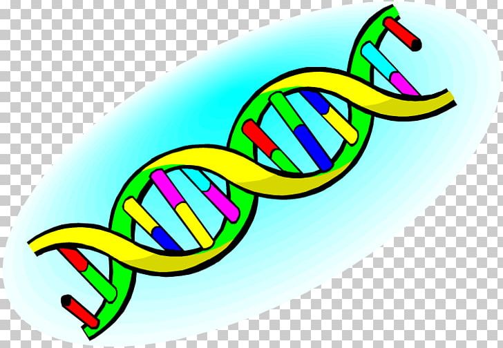 Nucleic Acid Double Helix DNA Nucleic Acid Structure PNG, Clipart, Area, Art, Artwork, Blog, Chromosome Free PNG Download