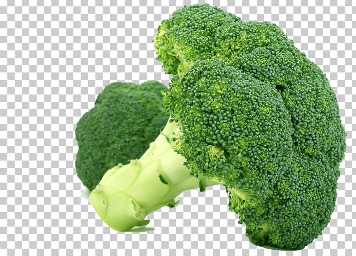 Broccoli Nutrient Health Nutrition Food PNG, Clipart, Appetite, Broccoli, Broccoli Sprouts, Cauliflower, Diet Free PNG Download