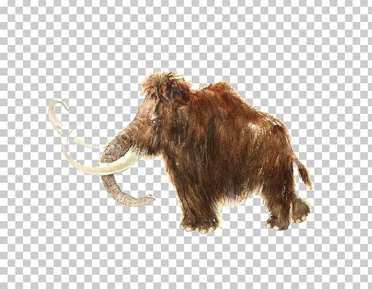 Rouffignac Cave Woolly Mammoth African Elephant Stone Age Story Tattoo PNG, Clipart, Animals, Body Art, Brown, Cattle Like Mammal, Drawing Free PNG Download