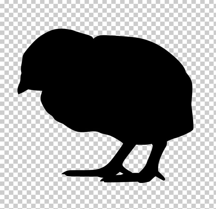 Silhouette Kifaranga Drawing PNG, Clipart, Animals, Beak, Bird, Black And White, Chicken Little Free PNG Download