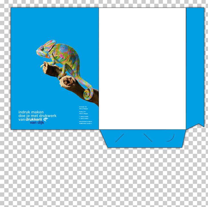 Van Dijk Printing PNG, Clipart, Area, Blue, Brand, Conflagration, Contract Free PNG Download