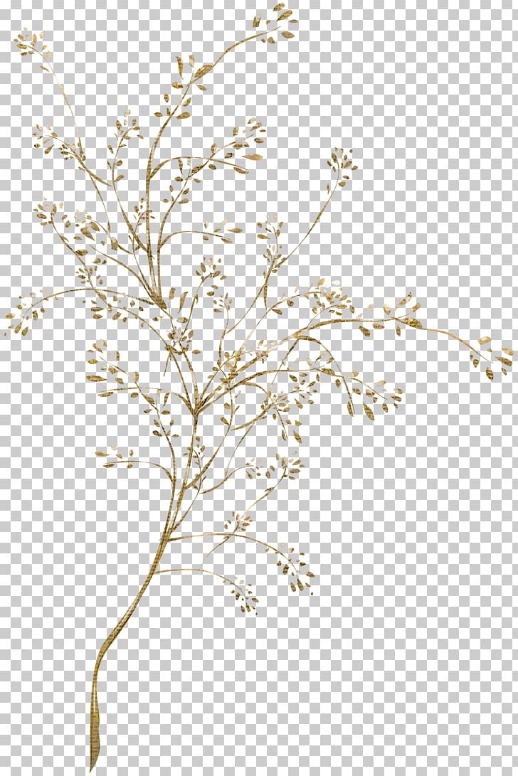 Plant Stem Leaf Flowering Plant Victorian Era PNG, Clipart, Blog, Branch, Chemical Element, Day, Debt Free PNG Download