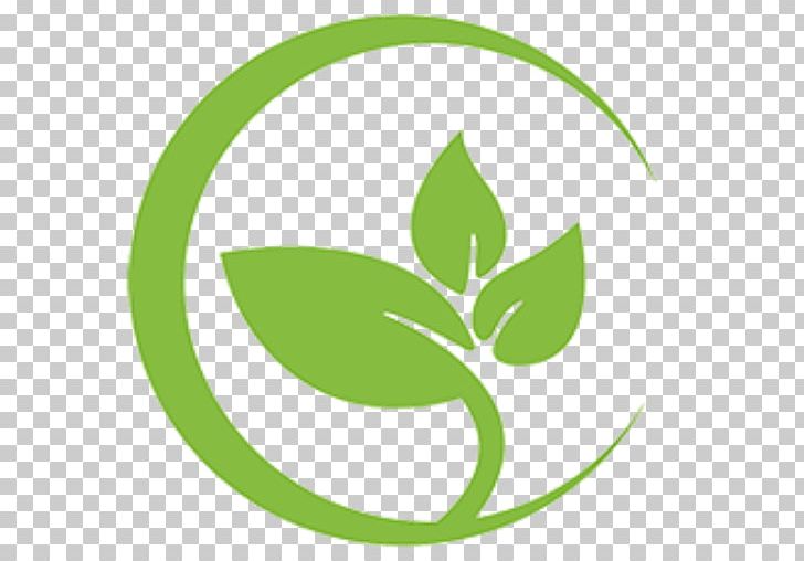 Leaf Marin Tennis Club Plant Stem PNG, Clipart, Brand, Circle, Flora, Grass, Green Free PNG Download