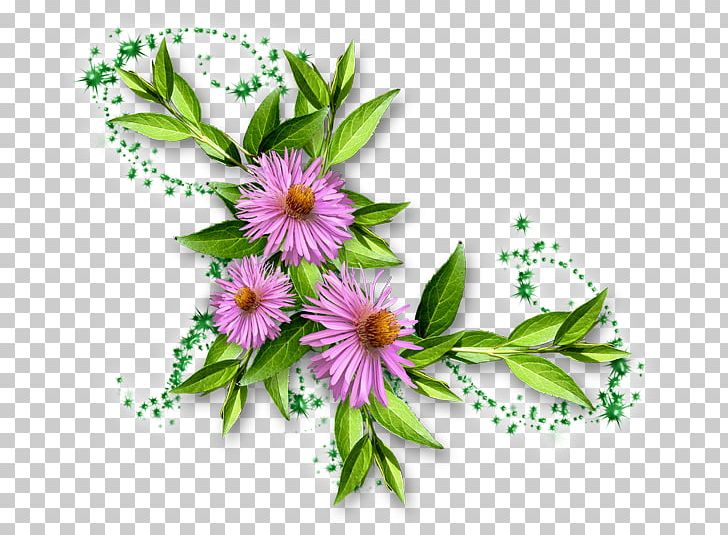 Floral Design Flower Petal Herbalism Herbaceous Plant PNG, Clipart, 14 April, Aster, Cicek, Cicekler, Cicek Resimleri Free PNG Download