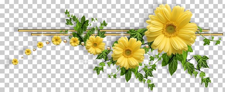 Flower PNG, Clipart, Blog, Chamaemelum Nobile, Chrysanths, Cut Flowers, Daisy Free PNG Download