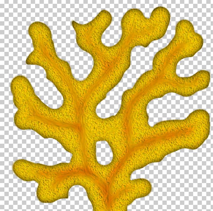 Coral Reef PNG, Clipart, Clip Art, Color, Coral, Coral Reef, Coral Tree Free PNG Download