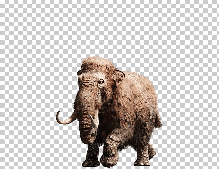 Far Cry Primal Far Cry 3 Far Cry Instincts Far Cry 5 PNG, Clipart, African Elephant, Cattle Like Mammal, Elephant, Elephants And Mammoths, Far Cry Free PNG Download