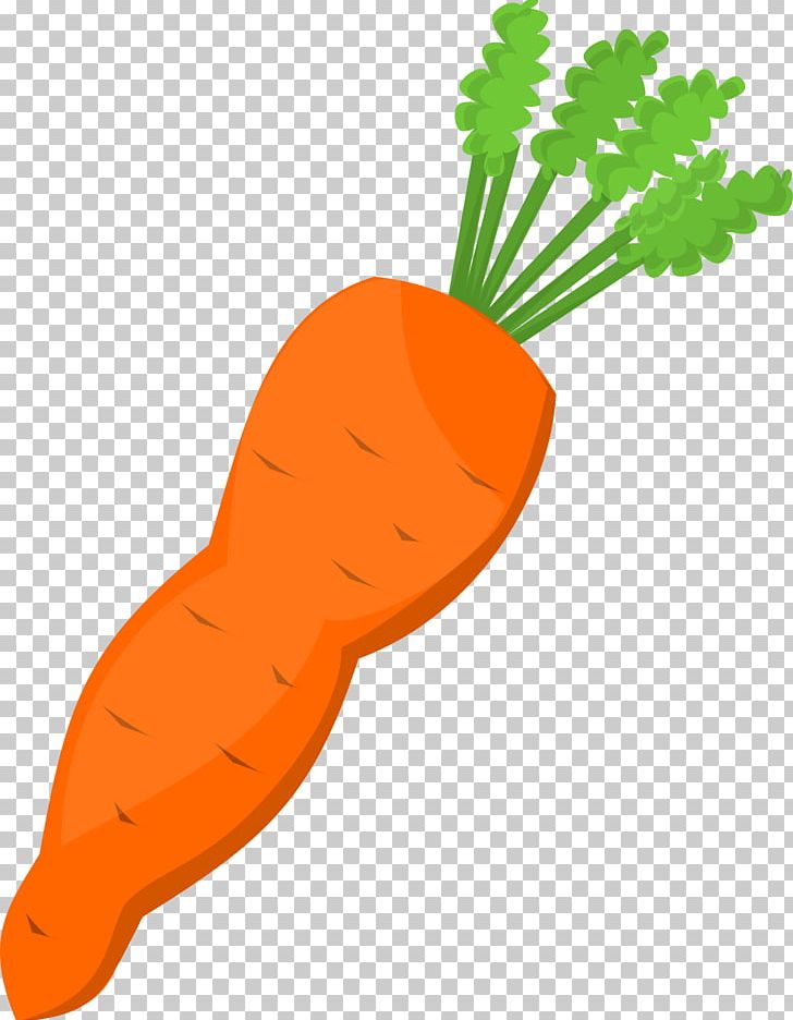 Carrot Vegetable PNG, Clipart, Baby Carrot, Carrot, Carrot Cliparts, Computer Icons, Download Free PNG Download