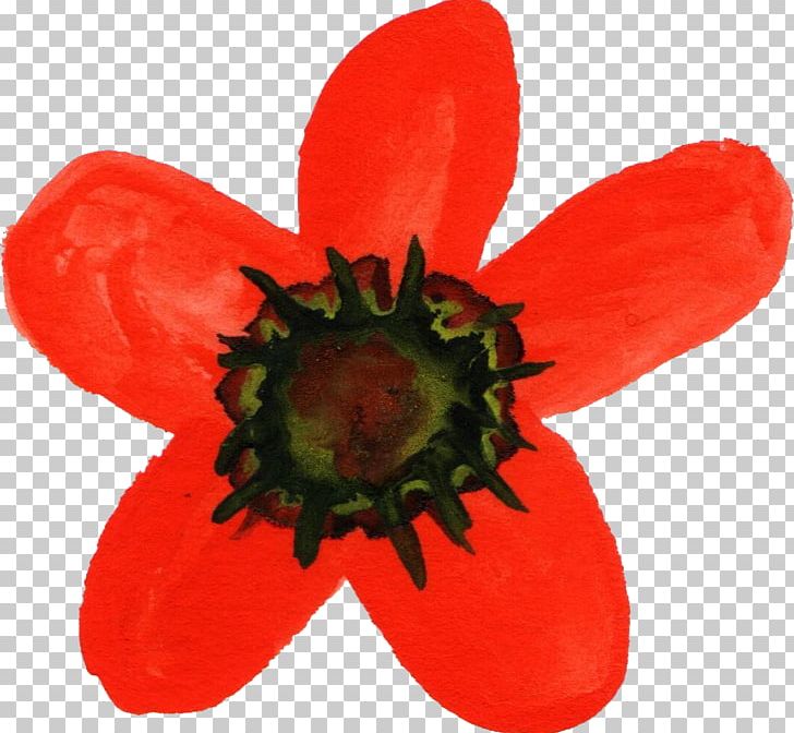 Watercolour Flowers Watercolor Painting Poppy PNG, Clipart, Anemone, Computer Icons, Flower, Flowering Plant, Nature Free PNG Download