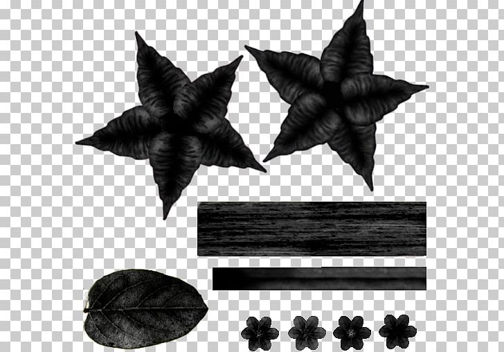 Leaf White PNG, Clipart, Black And White, Groundadjustable Propeller