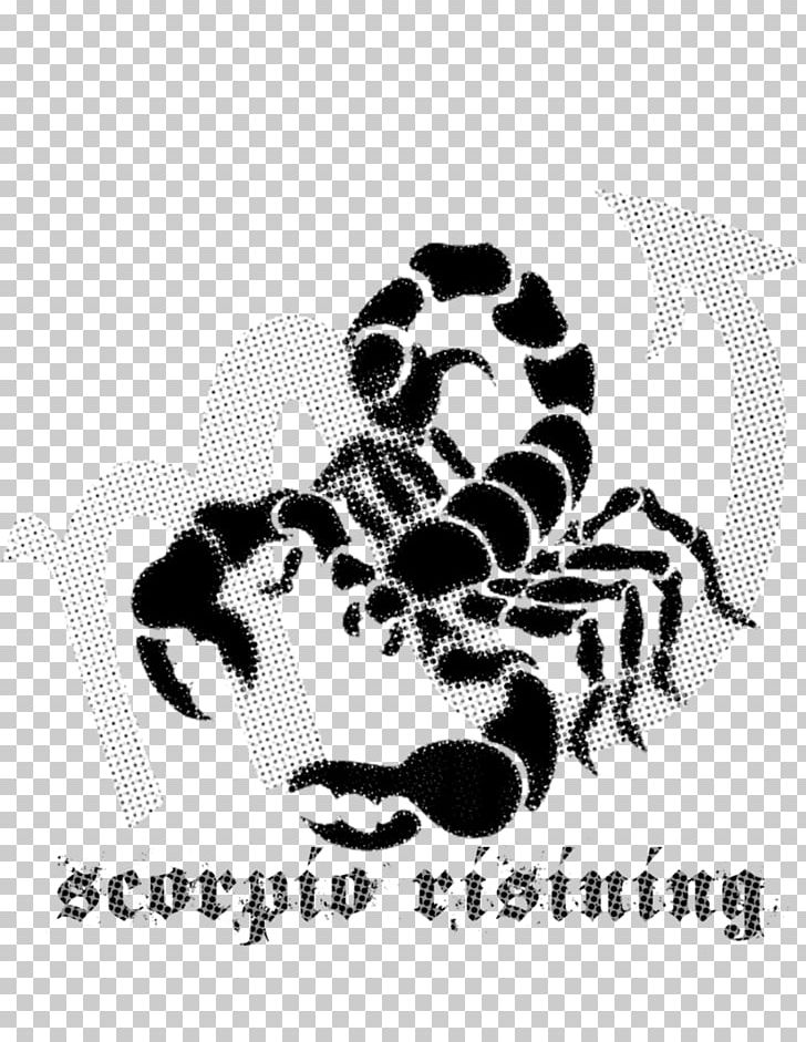 Scorpion Graphics Illustration PNG, Clipart, Black And White, Brand, Carnivoran, Cat Like Mammal, Drawing Free PNG Download