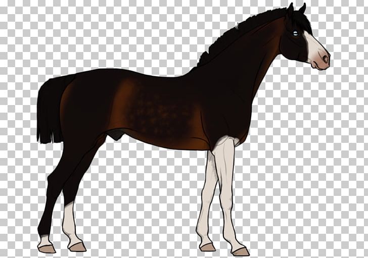Stallion Mustang Foal Mare Colt PNG, Clipart, Bridle, Colt, Foal, Halter, Horse Free PNG Download
