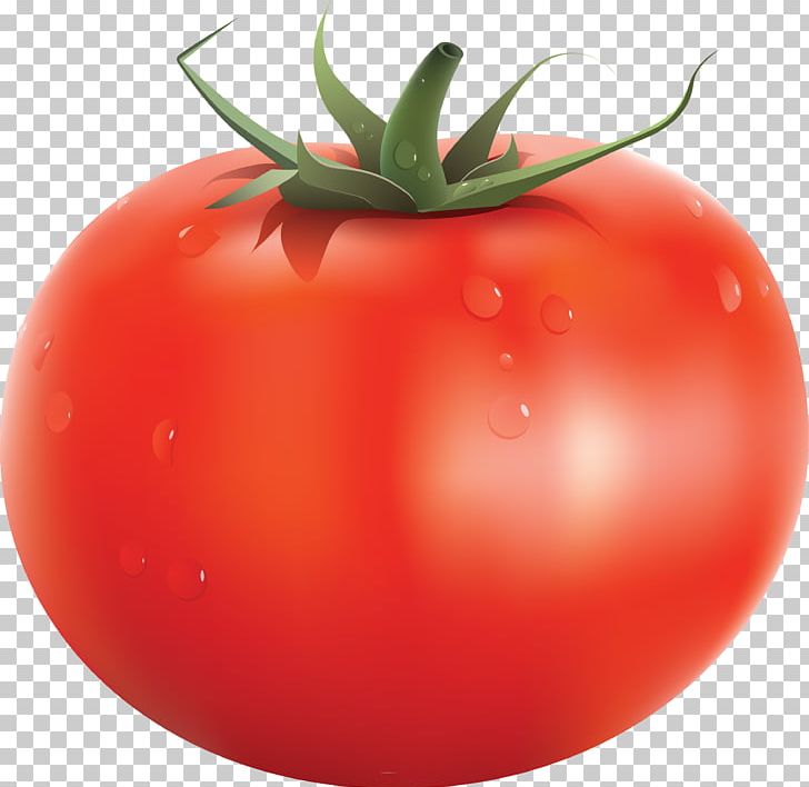 Tomato Juice Cherry Tomato Vegetable PNG, Clipart, Cherry Tomato, Computer Icons, Diet Food, Food, Fruit Free PNG Download