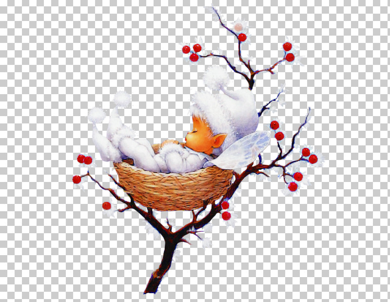 Holly PNG, Clipart, Branch, Holly, Plant, Tree Free PNG Download