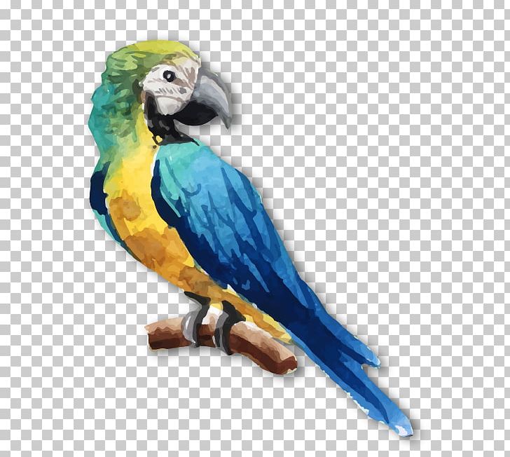 Parrot Lovebird Watercolor Painting PNG, Clipart, Animals, Bea, Bird, Chinese Painting, Common Pet Parakeet Free PNG Download