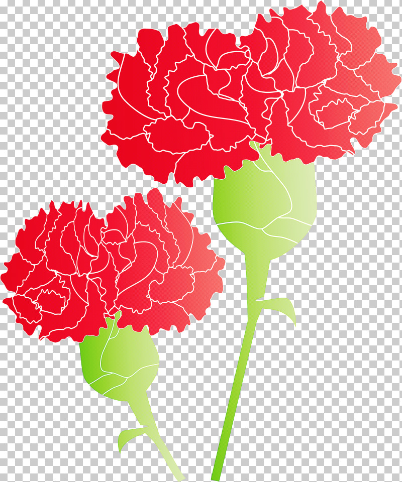 Mothers Day Carnation Mothers Day Flower PNG, Clipart, Carnation, Cockscomb, Cut Flowers, Dianthus, Flower Free PNG Download