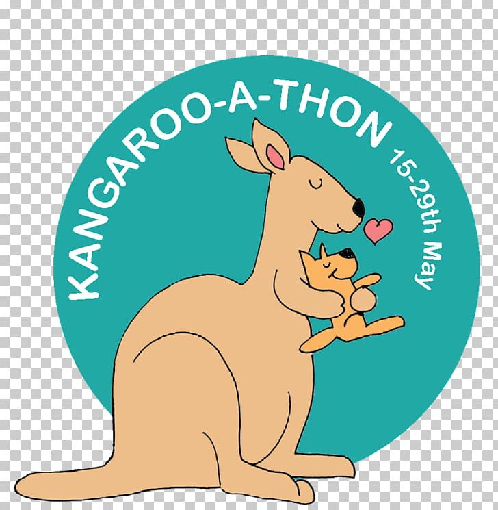 Kangaroo Care Macropodidae Neonatal Intensive Care Unit Infant PNG, Clipart, Animals, Area, Bliss, Canidae, Dog Like Mammal Free PNG Download
