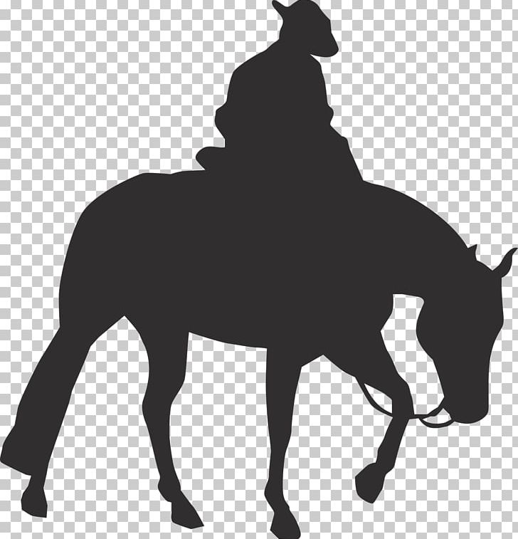 Rocky Mountain Horse Pony Graphics Equestrian Western Riding PNG, Clipart, Black And White, Bridle, Cowboy, English Riding, Equestrian Free PNG Download