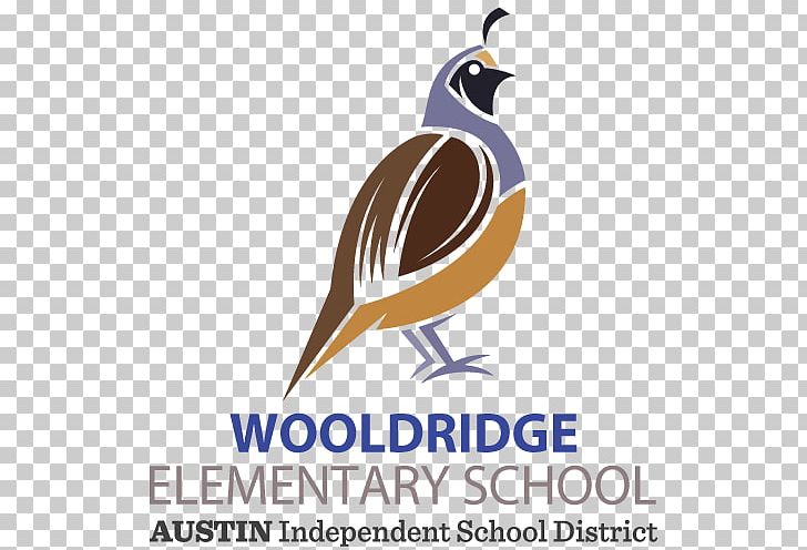 Wooldridge Elementary School Independent School District Education PNG, Clipart, Advertising, Austin, Austin Independent School District, Beak, Bird Free PNG Download