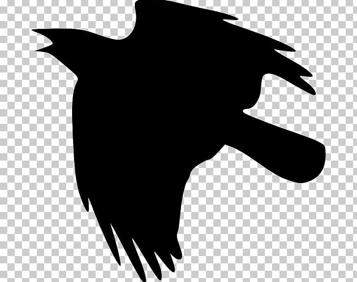 Crows PNG, Clipart, Animals, Beak, Bird, Black, Black And White Free PNG Download