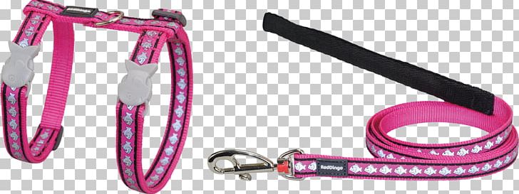 Leash Cat Dog Collar Dog Harness PNG, Clipart, Cat, Collar, Dingo, Dog, Dog Collar Free PNG Download
