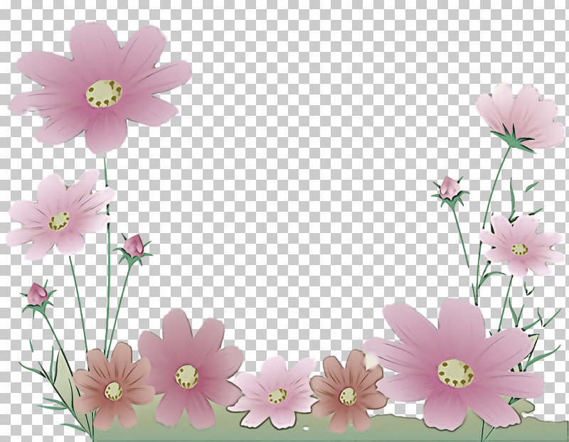 Floral Design PNG, Clipart, Biology, Blossom, Cherry, Cherry Blossom, Floral Design Free PNG Download