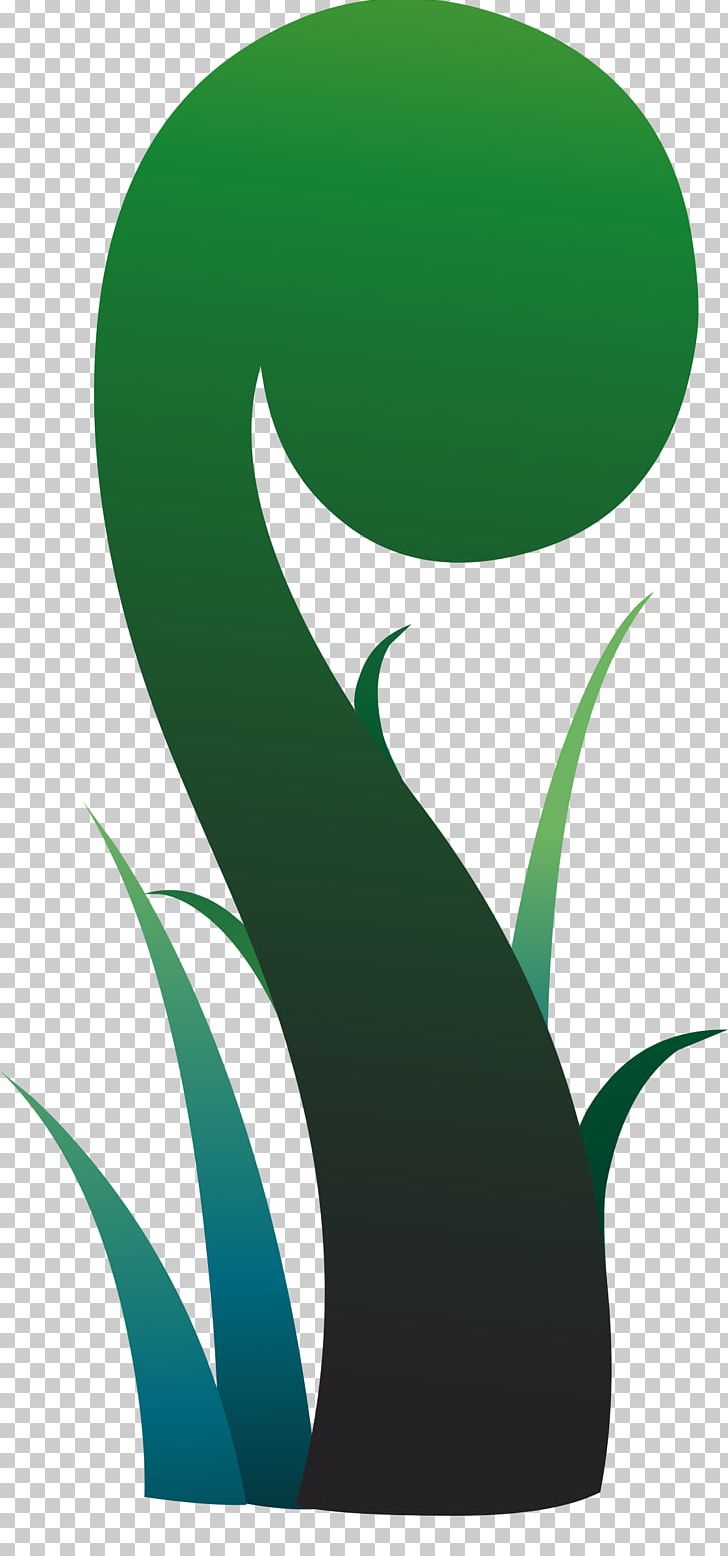 Leaf Fern PNG, Clipart, Computer Icons, Drawing, Fern, Grass, Green Free PNG Download