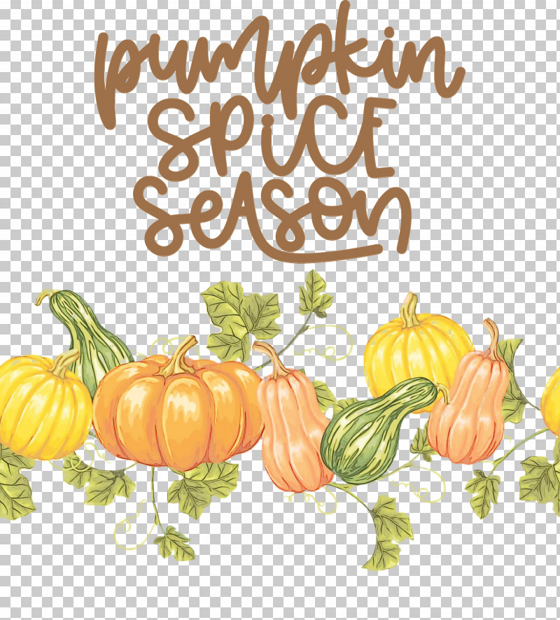 Pumpkin PNG, Clipart, Autumn, Courgette, Drawing, Paint, Poster Free PNG Download