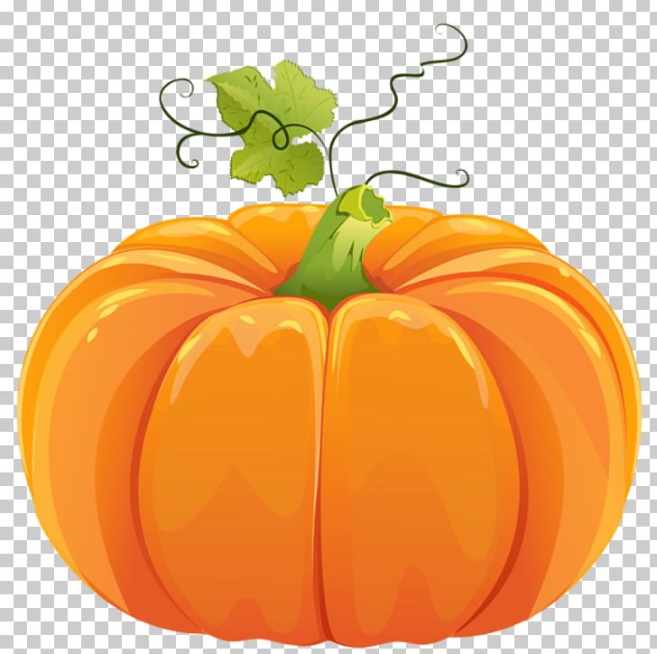 Halloween Pumpkins Field Pumpkin Pumpkin Bread PNG, Clipart,  Free PNG Download