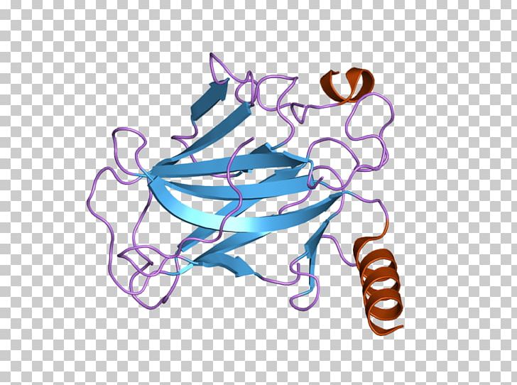 P53 Protein Multicellular Organism Tumor Suppressor Gene PNG, Clipart, Art, Artwork, Bin, Cancer, Domain Free PNG Download