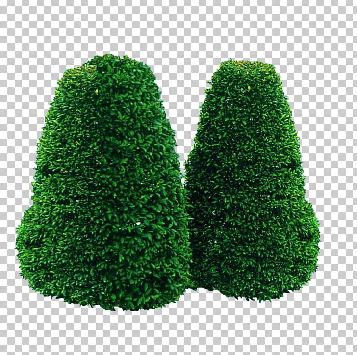 Tree Garden Green PNG, Clipart, Abstract Shapes, Conifer, Download, Evergreen, Fir Free PNG Download
