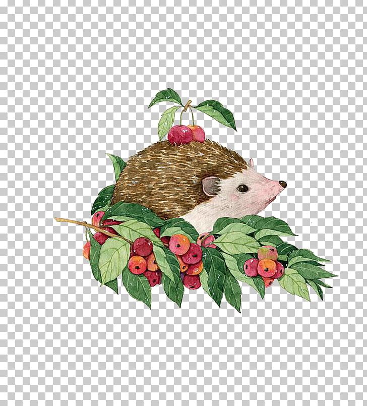 Hedgehog Watercolor Painting Illustration PNG, Clipart, Animals, Apple Fruit, Brown, Cartoon, Christmas Ornament Free PNG Download