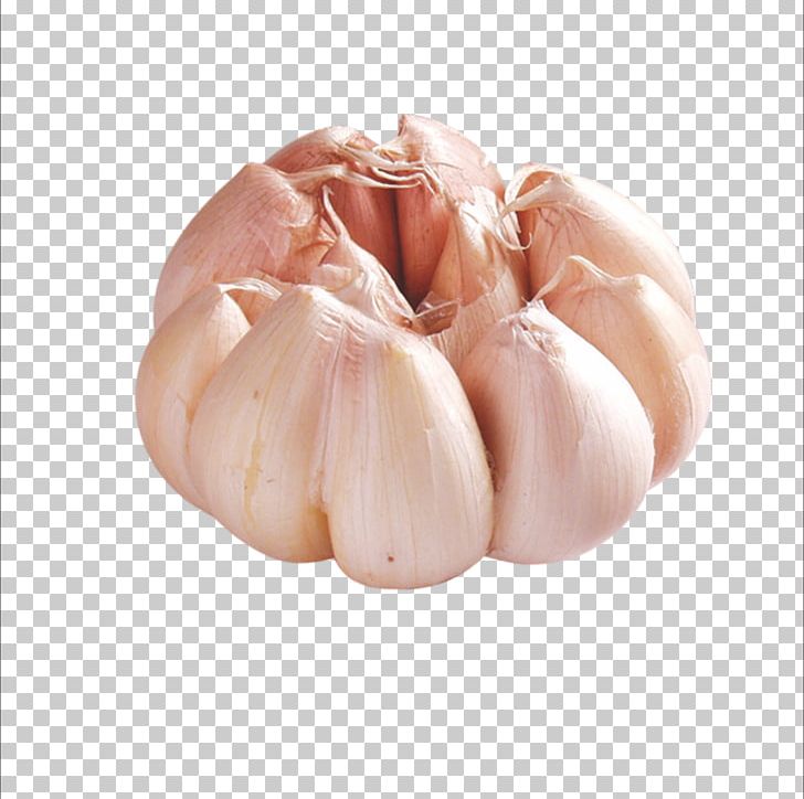Solo Garlic Vegetable Gratis PNG, Clipart, Cartoon Garlic, Chili Garlic, Concepteur, Download, Finger Free PNG Download