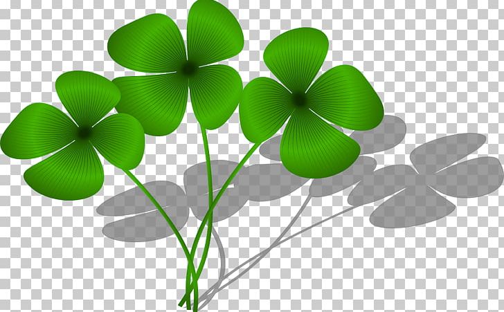 Four-leaf Clover Good Luck Charm Saint Patrick's Day PNG, Clipart, Clover, Color, Flowers, Fourleaf Clover, Good Luck Charm Free PNG Download