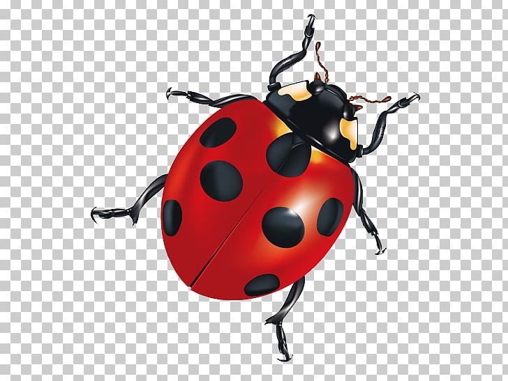 Insect Android Application Package PNG, Clipart, Android, Arthropod, Beetle, Bug, Child Free PNG Download