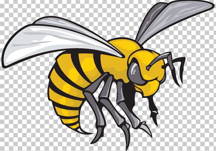 Alabama State University Alabama State Hornets Football Alabama State Hornets Men's Basketball Alabama State Hornets Women's Basketball Kennesaw State Owls Football PNG, Clipart,  Free PNG Download