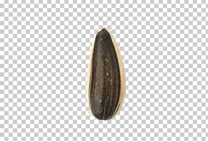 Nut Brown PNG, Clipart, Big, Big Grain, Bitter Melon, Brown, Delicious Melon Free PNG Download