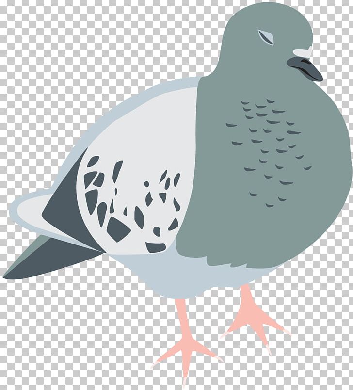 Stock Dove Columbidae Bird Homing Pigeon Tote Bag PNG, Clipart, Animal, Animals, Bag, Beak, Bird Free PNG Download