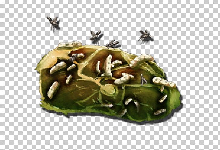 ARK: Survival Evolved Meat Raw Foodism Olla Podrida PNG, Clipart, Ark, Ark Survival, Ark Survival Evolved, Arthropleura, Cooking Free PNG Download
