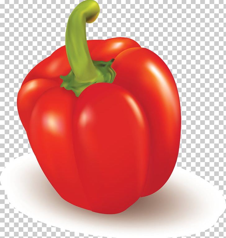 Bell Pepper Vegetable Food Fruit Chili Pepper PNG, Clipart, Bell Peppers And Chili Peppers, Black Pepper, Bush Tomato, Cayenne Pepper, Food Drinks Free PNG Download