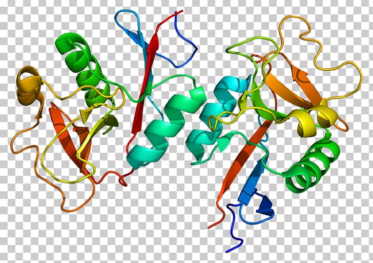 CLEC4M Membrane Protein Cell Membrane ICAM-1 PNG, Clipart, 4 M, Area, Artwork, Cell Adhesion, Cell Adhesion Molecule Free PNG Download
