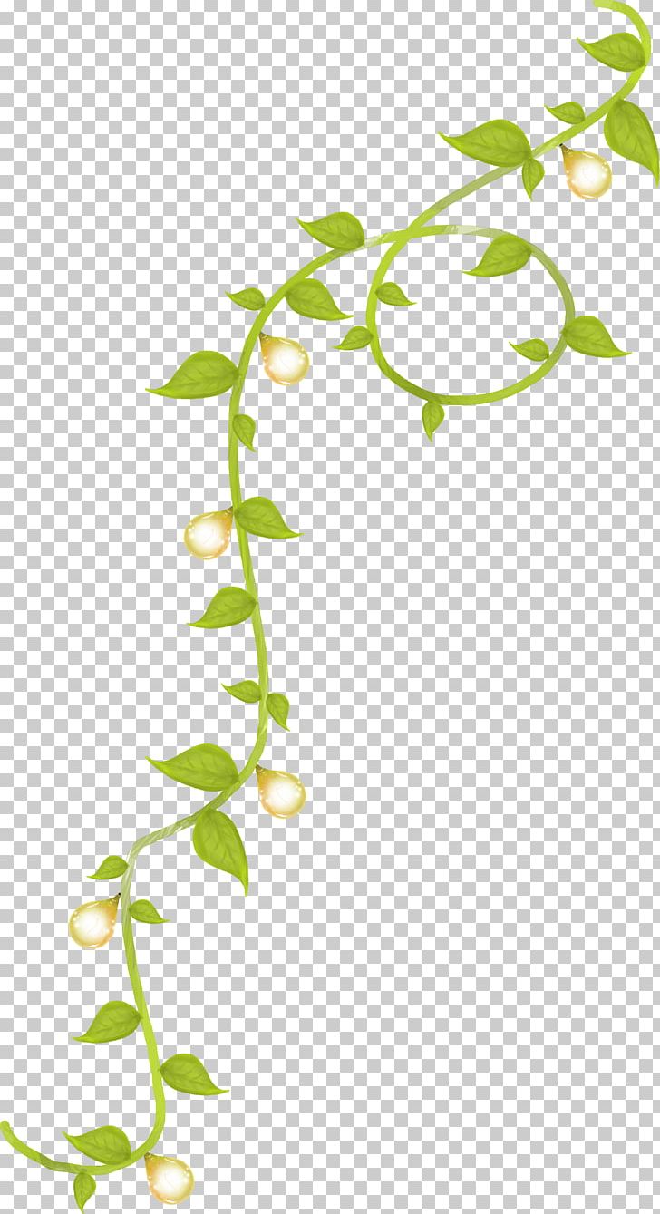 Flower Plant Stem Leaf PNG, Clipart, Art, Branch, Branches, Daybed, Flora Free PNG Download