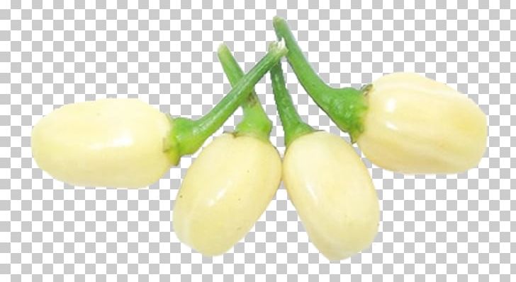 Habanero Fatalii Peppers Trinidad Moruga Scorpion Biber PNG, Clipart, Bell Peppers And Chili Peppers, Bhut Jolokia, Commodity, Food, Fruit Free PNG Download