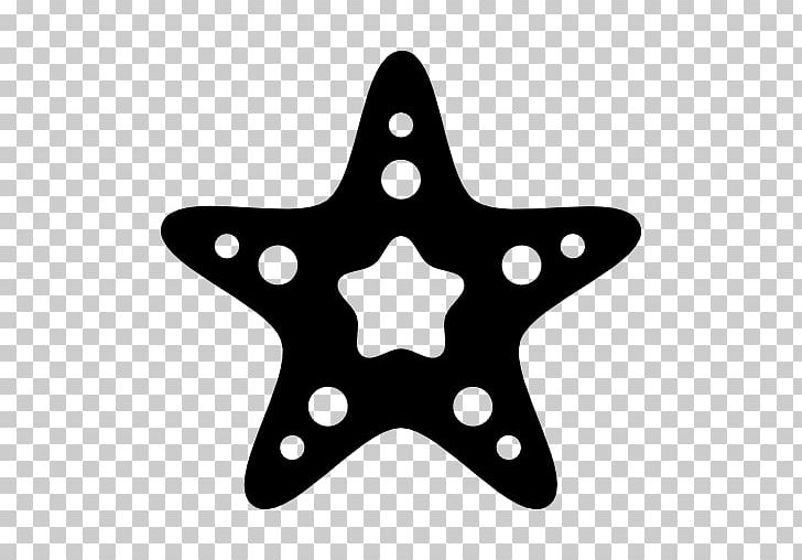 Shape Drawing Starfish PNG, Clipart, Art, Black, Black And White, Computer Icons, Drawing Free PNG Download
