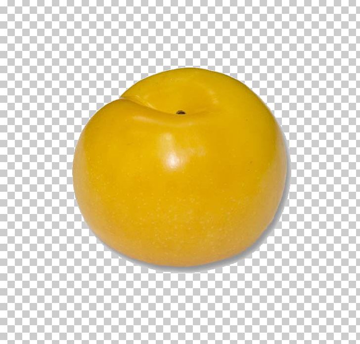 Yellow Testor Corporation Pear Tomato Paint PNG, Clipart, Apple, Color, Common Plum, Food, Fruit Free PNG Download
