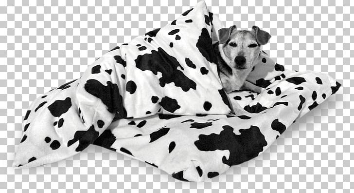 Dalmatian Dog Dog Breed Duvet Non-sporting Group PNG, Clipart, Animal, Animal Figure, Bed, Black, Black And White Free PNG Download
