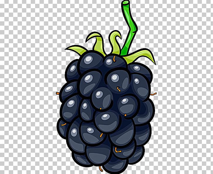 Frutti Di Bosco Blackberry Cartoon Fruit PNG, Clipart, Berry, Bilberry, Blackberries, Bunch, Comics Free PNG Download